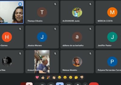 Descomplica PNAB Viçosa